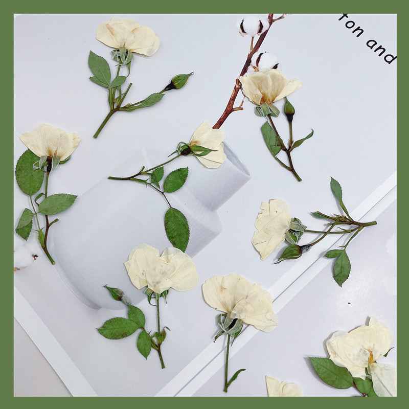 Wedding Card Box - 12pcs, Nature White Pink Red Rose