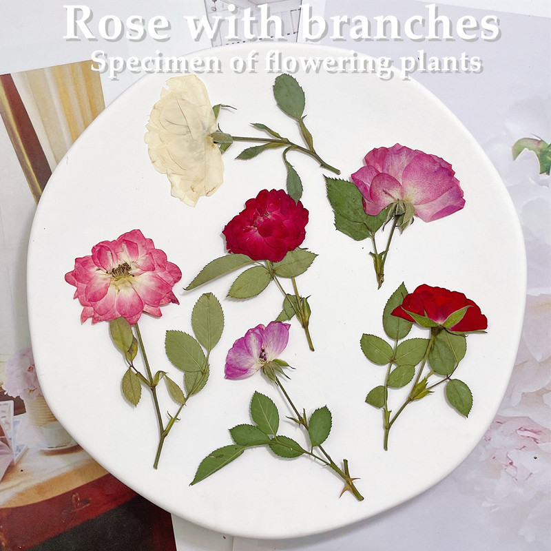 12pcs, Nature White Pink Red R - Wedding Card Box recension och pris