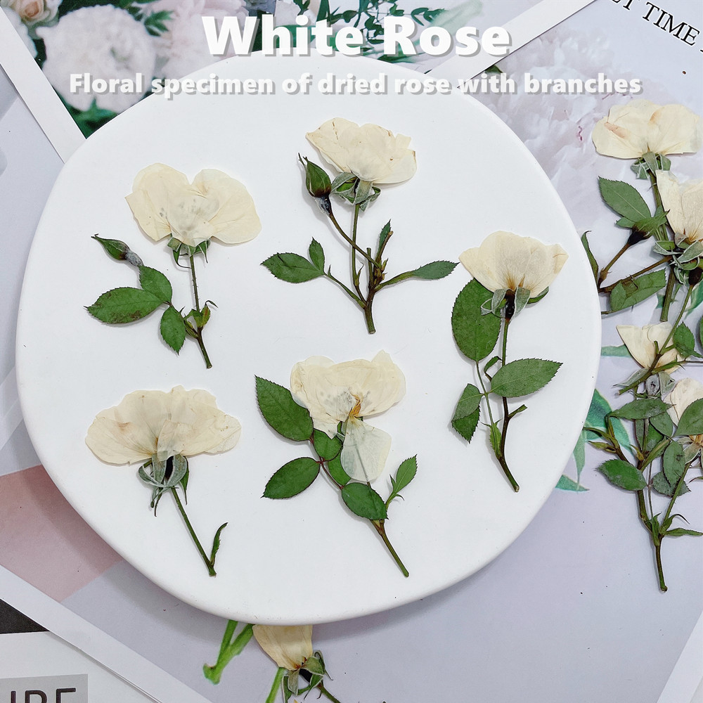 12pcs, Nature White Pink Red R - Wedding Card Box recension och pris